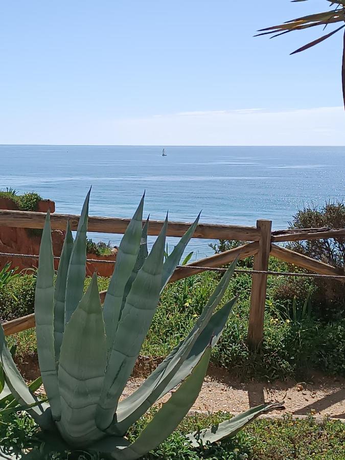 Mar A Vista Algarve Summer Appartement *